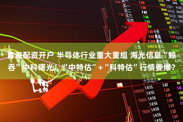 青海配资开户 半导体行业重大重组 海光信息“鲸吞”中科曙光！“中特估”+“科特估”行情要爆？